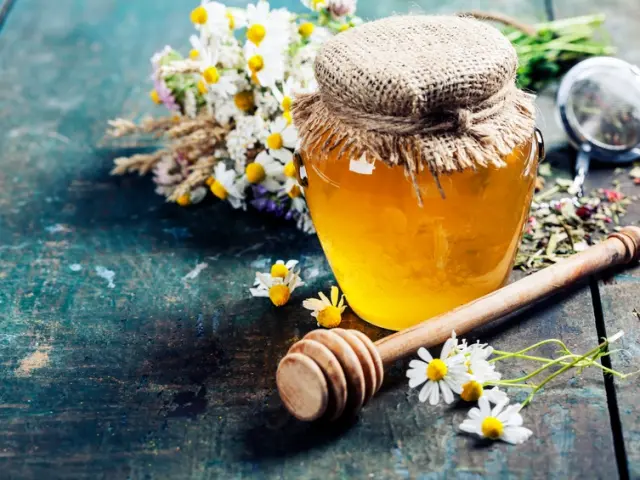 miel_cevennes_terroir