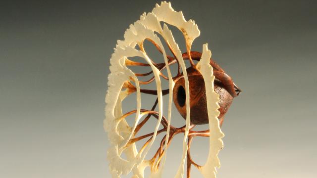 Octopus Seed