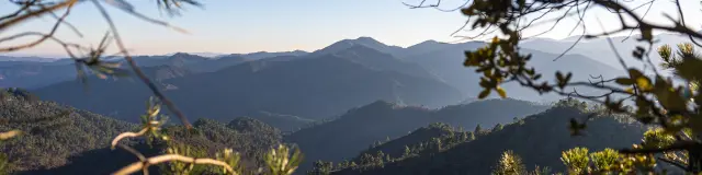 Vue sur les montagnes des Cévennes depuis le Signal Saint-Pierre