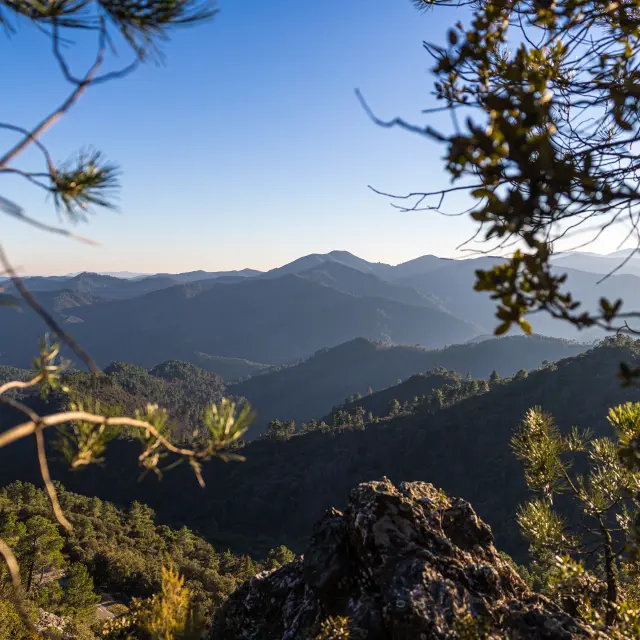 Vue sur les montagnes des Cévennes depuis le Signal Saint-Pierre