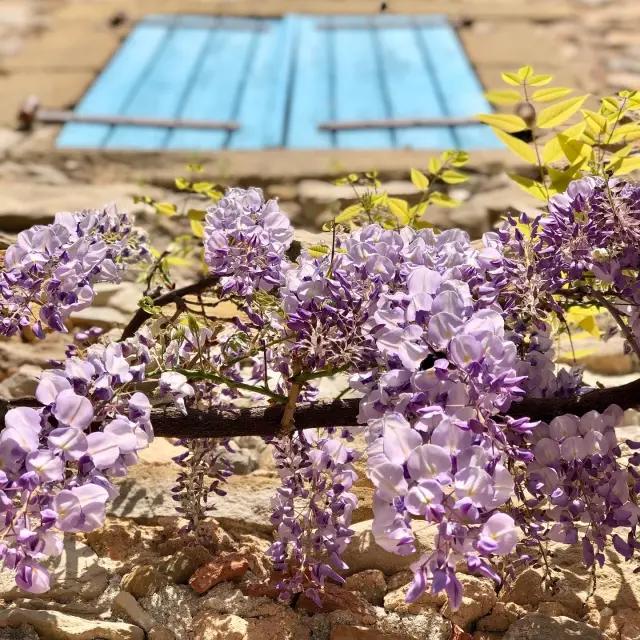 C23e06a8 3ab2 4958 B9d3 73c43109eb46