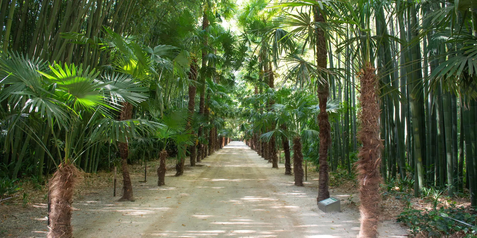 Sophie Brunet Dsc1603 Ok