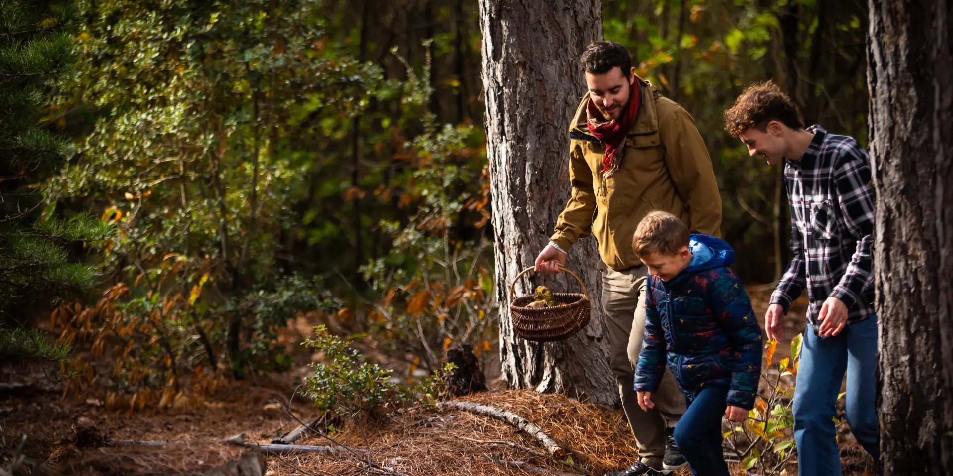 Champignons Chataignes Chemin De Valmale Novembre 2022 Olivier Octobre 30