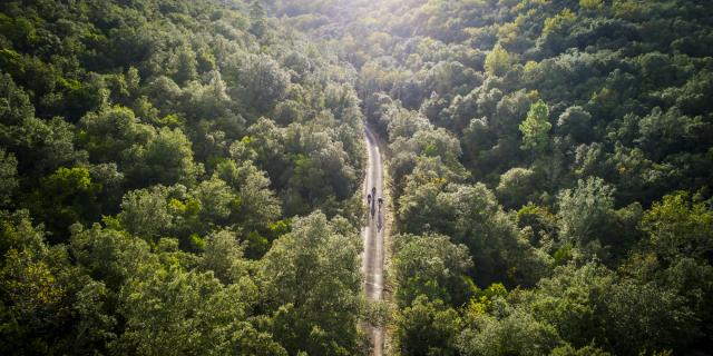 VTT en Cévennes - Anduze