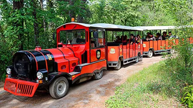 Petit train rouge pour visiter la forêt fossile