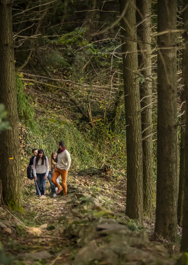 Randonnée entre amis dans le foret de Genolhac