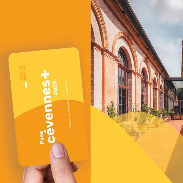 Mock Up Pass Site Web