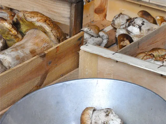 Champignons Marche Local Bernadette Price