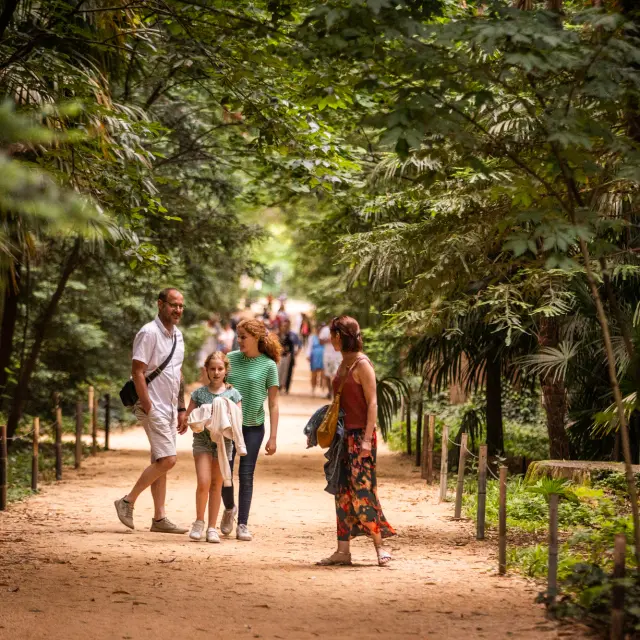 Bambouseraie Olivier Octobre Photographe Bd 10