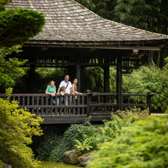 Bambouseraie Olivier Octobre Photographe Bd 15