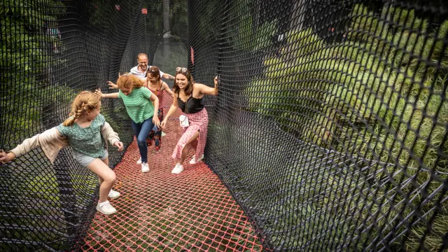 Bambouseraie Olivier Octobre Photographe Bd 2