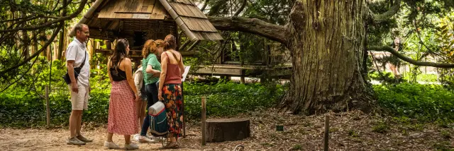 Bambouseraie Olivier Octobre Photographe Bd 7