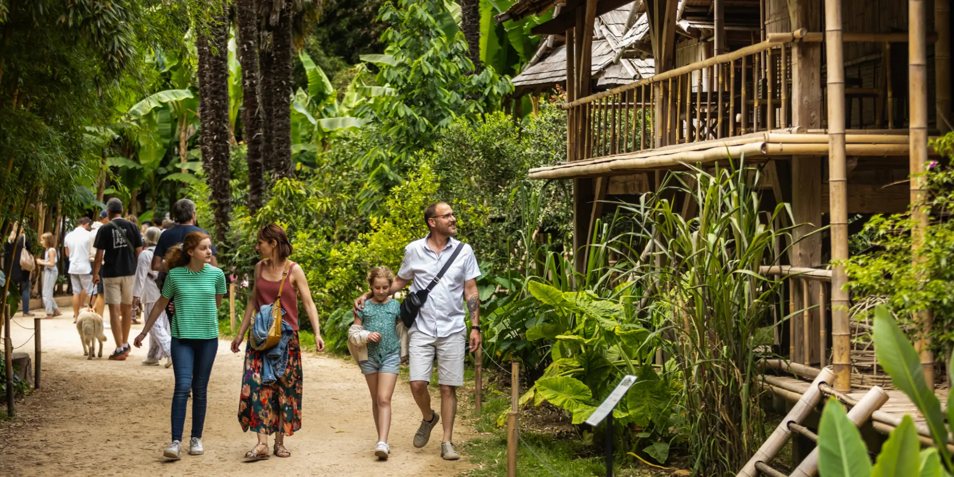 Bambouseraie Olivier Octobre Photographe Bd 8