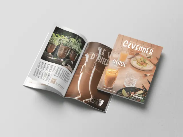 Mockup guide pratique